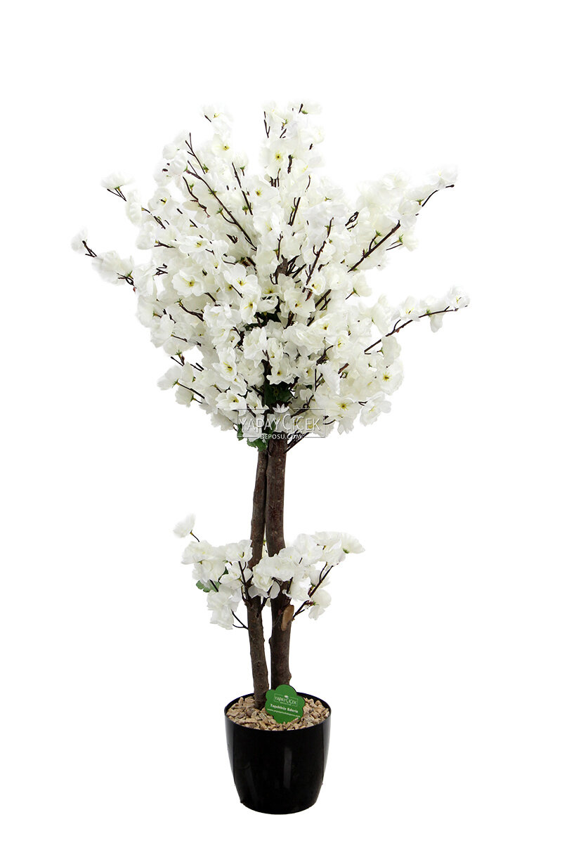 Saksıda Yapay 2 Gövdeli Bahar Dalı Ağacı 100 cm Beyaz