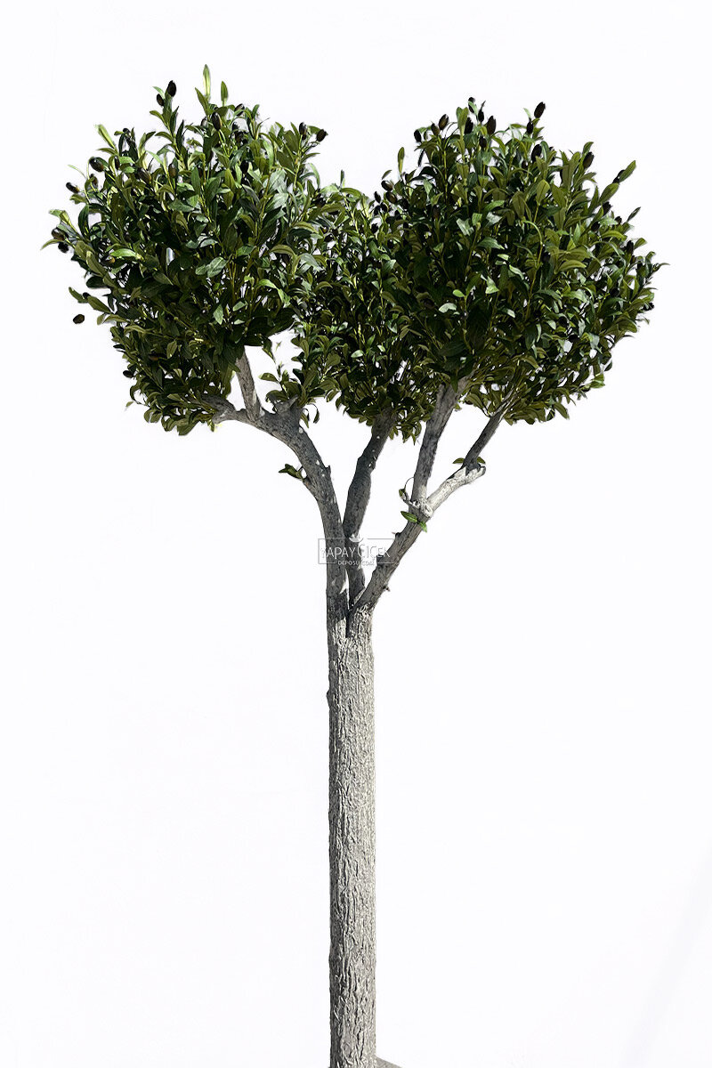Yapay Ağaç Premium Plaza Zeytin Ağacı 210 cm