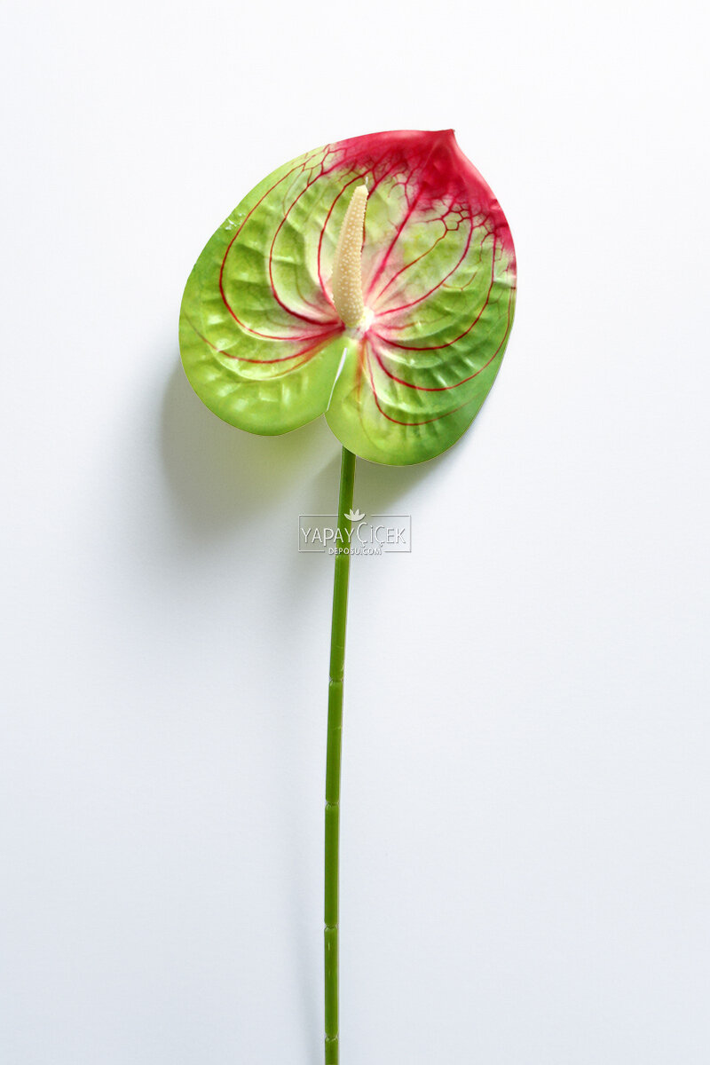 Yapay Islak Tekli Antoryum Dalı 60 cm Yeşil-Fuşya