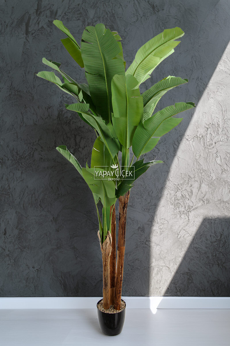 Yapay Ağaç 3 Gövde Tropik 22 Yapraklı Muz Gerçek Doku 240 cm