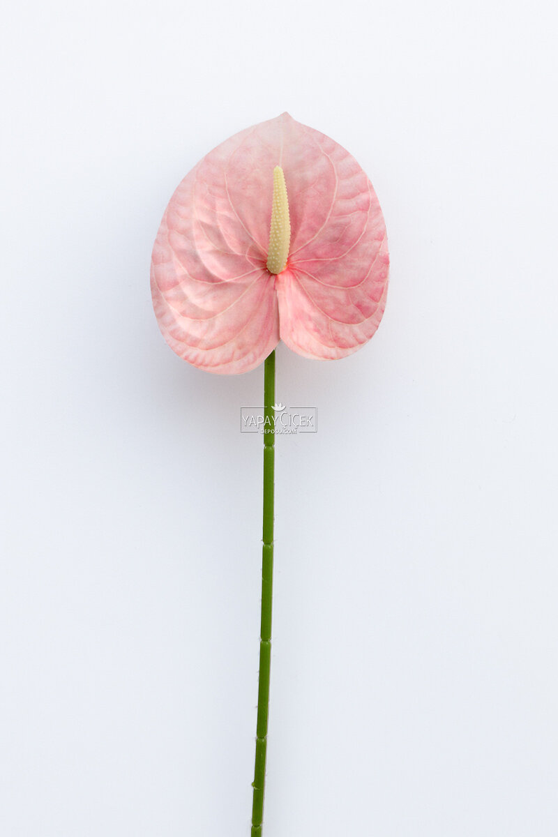 Yapay Islak Tekli Antoryum Dalı 60 cm Pembe