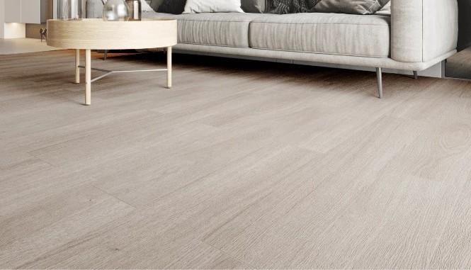 Concept Parke - Latino