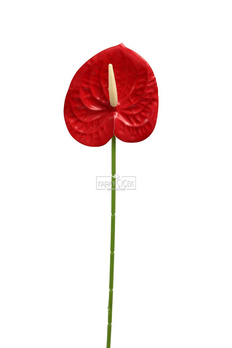 Yapay Islak Tekli Antoryum Dalı 60 cm Kırmızı