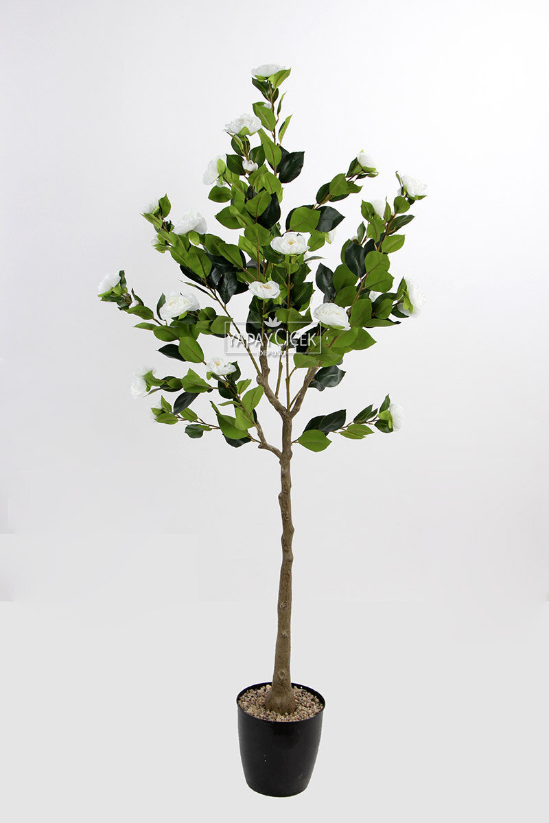 Yapay Premium Gül Ağacı 170 cm Beyaz