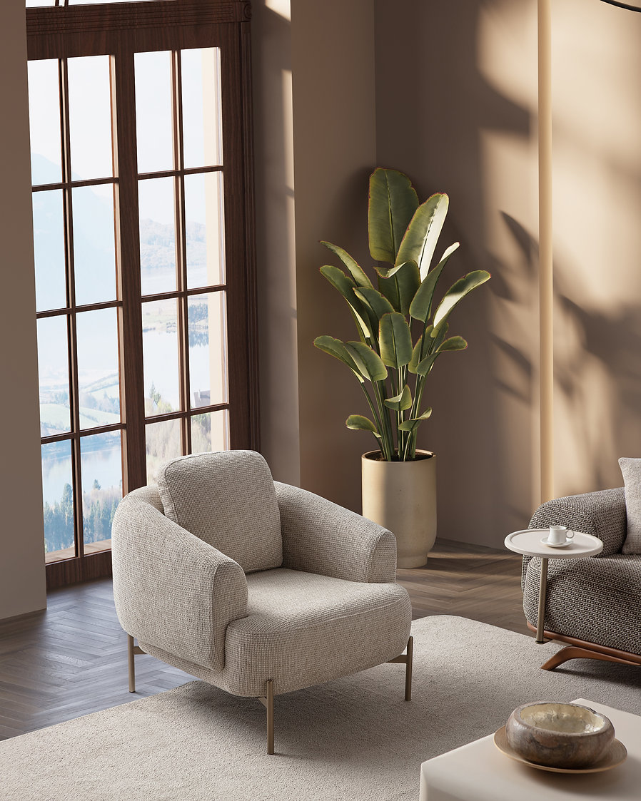 Didim Koltuk Takımı