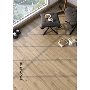 Concept Parke - Moderna