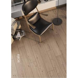 Concept Parke - Scala