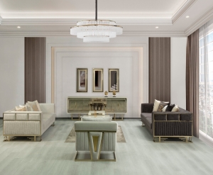 Lion Koltuk Takımı